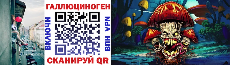 блэк спрут зеркало  Элиста  Галлюциногенные грибы ЛСД 