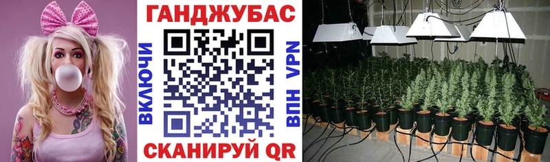 Конопля марихуана  ОМГ ОМГ   Элиста 